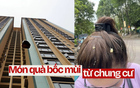Pha đi chợ nhớ đời ở chung cư: Chưa kịp mua gì đã được "tặng" nguyên bịch thức ăn thừa trên trời rơi xuống