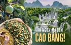 Thức quà mùa hè từ núi rừng chỉ có thể thưởng thức khi đến Cao Bằng
