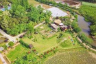 Giám đốc công nghệ “bỏ phố về quê”, mua hơn 133.000m2 đất để nghỉ hưu: Mất 3 năm mới hoàn thành nông trại trong mơ