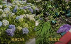 Yêu nước, thì đừng làm những điều này!