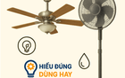Quạt trần và quạt cây: Loại nào hiệu quả và tiết kiệm điện hơn trong phòng rộng?