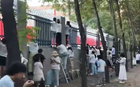 "Có nhất thiết phải thế này không?"