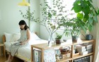 Ông bà dặn lại: Trồng nhầm cây này trong phòng ngủ dễ thất thoát tiền bạc mà không hay