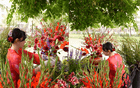 "Phú bà Long Biên" tiết lộ 3 loài hoa cổ truyền khai lộc, đón may, sung túc đủ đầy nên chưng bàn thờ ngày Tết