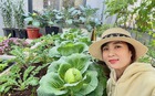 Ngắm khu vườn sân thượng “mùa nào thức nấy” rộng 85m2 của gia đình Đà Nẵng