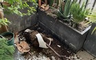 Sau 1 năm dùng ban công mở, tôi hiểu vì sao nhiều người muốn đóng lại