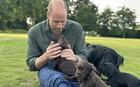 15 năm, 3 con, 2 chú chó và 1 bức ảnh: Gia đình William - Kate giờ trông như thế này