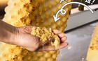 Tôi từng mua 6 món đồ “siêu rẻ” để tiết kiệm tiền - nhưng càng dùng càng thấy tốn kém và phiền phức hơn cả
