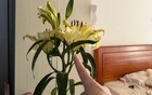 Kiểm tra phòng ngủ của bạn: Nếu vẫn giữ 6 món đồ này, giấc ngủ có thể đang “xuống cấp” từng ngày mà bạn không nhận ra