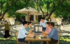 Học Gia Cát Lượng chiêu "mượn gió bẻ măng": Cách dân công sở không có "ô dù" vẫn thăng tiến ngoạn mục