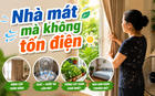 Mẹ Hà Nội chia sẻ: Tôi đóng kín cửa từ 10h sáng và hóa đơn điện mùa hè giảm thấy rõ