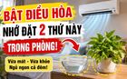 Trước khi bật điều hòa, người khéo thường đặt thêm 2 thứ này trong phòng: Vừa dễ ngủ vừa đỡ khô da