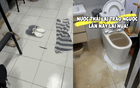 Tôi thà mua căn hộ tầng 4, 14 hay 18 còn hơn chọn 3 tầng này: Chuyển vào ở mới thấy “ác mộng” bắt đầu