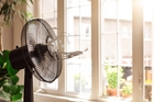 Loại quạt nào tốn điện nhất? Lời khuyên để dùng quạt điện mát không kém điều hòa mà vẫn tiết kiệm, tốt cho sức khỏe