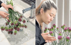 Bóc trần lời đồn về hoa hành uốn cong cắm bình 2 năm không héo: Tín đồ yêu hoa tháng 6 nhất định phải biết