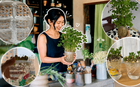 Tôi đã thử ngâm vài hạt đậu phộng trong nước suốt 15 ngày và bất ngờ nhận được một “khu rừng mini” xanh mát: Không tốn tiền mua cây mà vẫn có góc thư giãn cực chữa lành