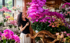 Người phụ nữ gây sốt với “phòng khách hoa lan” hơn 1.000 chậu: Không gian ngập sắc hoa khiến ai nhìn cũng muốn ngắm mãi