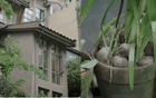 Cô gái 9X sống một mình trong căn nhà 3 tầng giữa vùng ngoại ô: Từ bỏ nhiều thứ “phải có”, đổi lại là một cuộc sống đủ đầy theo cách riêng