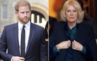 Vương hậu Camilla "mất hút" khỏi cung điện đúng lúc Harry và Meghan trở về: Chuyện gì đang xảy ra?
