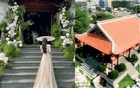 Siêu đám cưới ở Củ Chi: Khí chất hào môn, gia phong quyền quý toát lên từ tư gia nhà gái