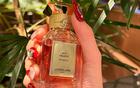 "Clean Girl Perfume" là gì mà hàng triệu cô gái đang tìm kiếm?