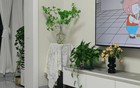 Từng nghĩ chỉ là chiếc ghế nhựa bình thường, ai ngờ lại có tới 11 công dụng khiến nhiều người bất ngờ