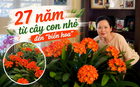 27 năm chăm một chậu lan quân tử: Từ cây con bé xíu đến "biển hoa" rực rỡ, bí quyết hóa ra không hề phức tạp