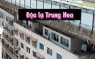 Công trình gây choáng ở Trung Quốc: Xây chung cư dưới gầm cầu, nóc nhà thành đường xe chạy