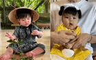 Các mẹ bỉm Vbiz “đu trend” ác liệt: Loạt ái nữ được ba mẹ đầu tư set đồ bà ba xinh yêu, từ con gái Puka đến bé Gạo nhà Ngô Thanh Vân