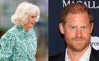 Bạn thân Vương hậu Camilla tiết lộ cách bà đối diện với Vương tử Harry
