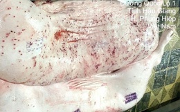 Từ vụ C.P. bị tố bán heo bệnh: Chỉ đạo mới từ Bộ Nông nghiệp và Môi trường