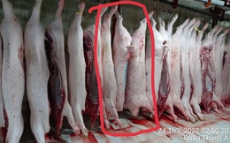 Vụ tố cửa hàng C.P. Việt Nam: Ông L.Q.N lại tung thêm bằng chứng?