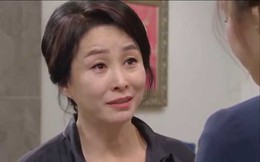 Trách con dâu đi sớm về khuya, đến một ngày mẹ chồng biết được sự thật thì giật mình vỡ lẽ...