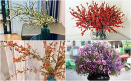Bí quyết lựa chọn 4 loại hoa ngoại được chị em ưu chuộng nhất dịp Tết: Tuyết mai, Thanh liễu, Hồng gai và Đào đông
