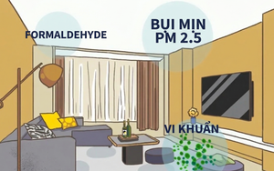 3 kiểu bữa s&aacute;ng c&oacute; thể ảnh hưởng đến n&atilde;o bộ trong 10 năm tới, trong khi khoai t&acirc;y lại c&oacute; nhiều lợi &iacute;ch &iacute;t ai ngờ - Ảnh 2.