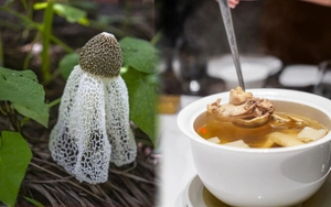 Kh&ocirc;ng phải collagen, đ&acirc;y mới l&agrave; c&aacute;ch chống l&atilde;o h&oacute;a tiết kiệm: Tất cả nằm ở c&aacute;ch bạn ăn carbohydrate - Ảnh 2.