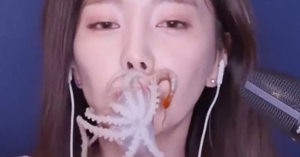 Kênh YouTube Hongyu ASMR 홍유 có video ăn hải sản sống nào không?
