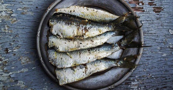 Cá là loại thực phẩm nổi tiếng ngon bổ nhưng có 5 loại cá không nên ăn vì cực nguy hiểm, có thể gây ngộ độc và cả ung thư