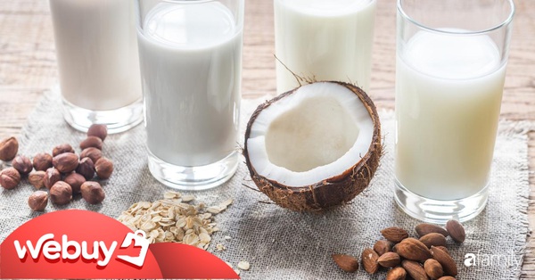 Muốn làm sữa hạt dinh dưỡng thơm ngon cho cả gia đình, các chị em hãy sắm ngay những chiếc máy này!
