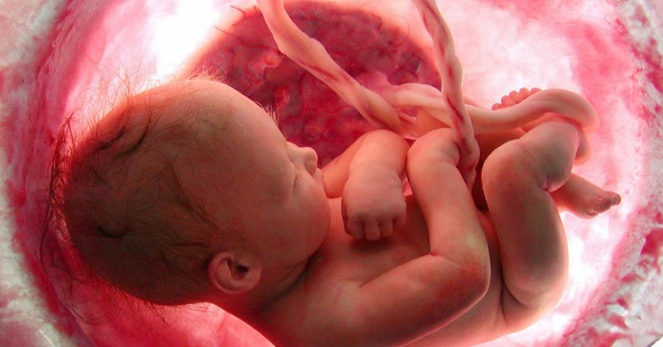 Em bé trong bụng mẹ có thể nuốt nước ối không? 
