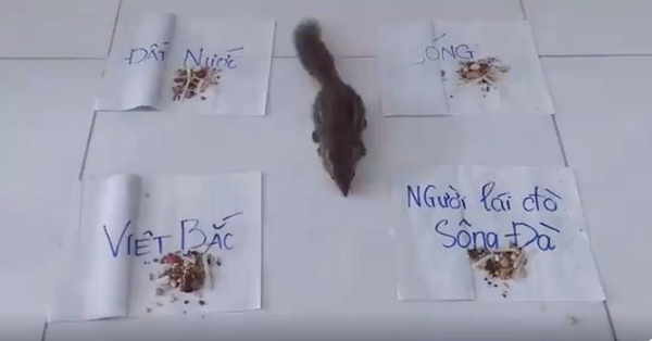 Bá đạo như học sinh thời nay: Thi tốt nghiệp mà lôi cả