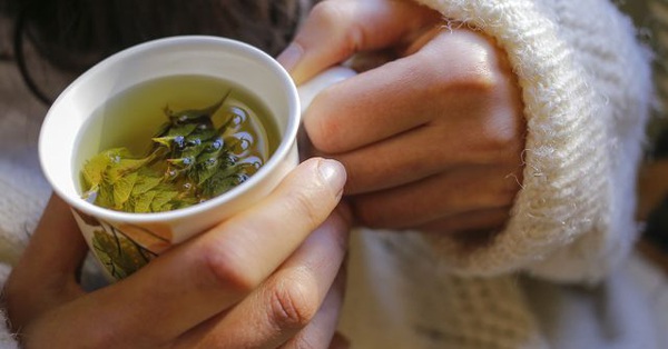 Cách sử dụng trà giảm mỡ nội tạng để đạt hiệu quả tốt nhất?

