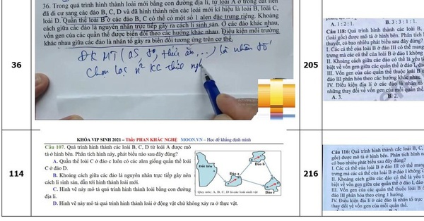 Đề thi Sinh học: Bạn đang tìm kiếm tài liệu ôn thi Sinh học cho kỳ thi sắp tới? Hãy xem hình ảnh để tìm hiểu thêm về đề thi Sinh học và chuẩn bị tốt hơn cho kỳ thi của bạn.