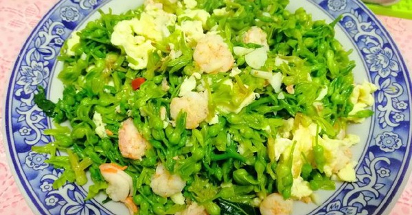 Cách làm bông thiên lý xào trứng béo thơm đơn giản cho cả nhà