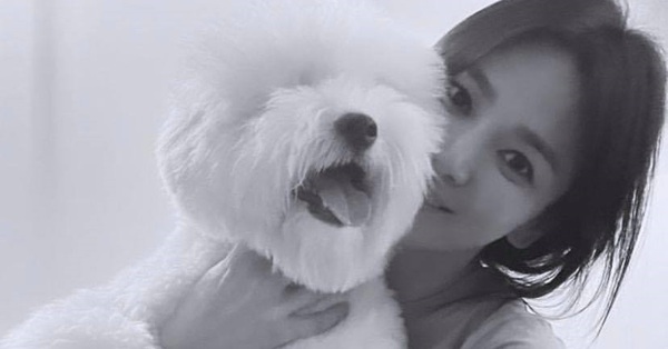 Luôn được khen là nữ thần tuổi 40 nhưng cũng có lúc Song Hye Kyo lộ khuyết điểm lớn trên gương mặt thế này - Vimarsana News