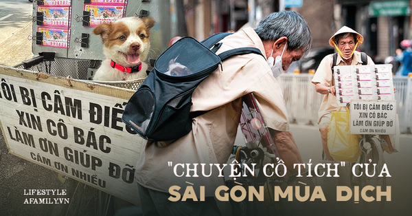Cụ ông câm điếc cưu mang chú chó nhỏ, thà rong ruổi bán từng tờ vé số chứ không nhận 70 triệu khi người Sài Gòn dang tay giúp đỡ - Vimarsana News