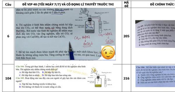 Thông tin mới nhất vụ "Đề ôn tập của thầy Phó Hiệu trưởng giống tới 80% đề tốt nghiệp chính thức" - Vimarsana News