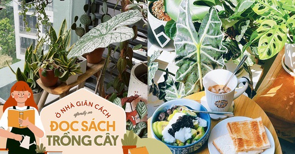 Cô gái biến cả góc ban công thành khu vườn nhỏ để đỡ cảm giác nhớ quê trong những ngày giãn cách - Vimarsana News