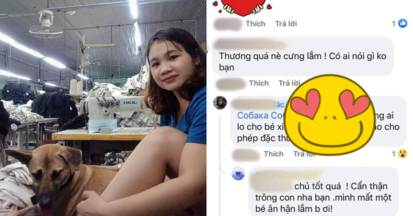 Cách ly tại chỗ làm, người phụ nữ xin công ty mang theo cún cưng cho đỡ nhớ, bất ngờ nhất là cách trả lời của vị Giám đốc - Vimarsana News