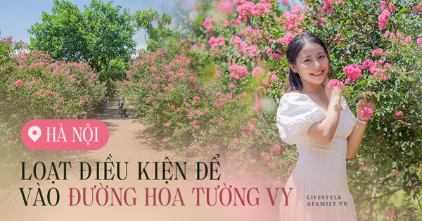 Con đường hoa tường vy đẹp nhất Hà Nội vừa mở lại đã gây sốt - Vimarsana News